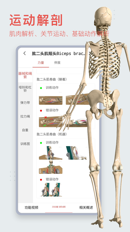 3Dbody解剖app免费版(3)